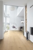 Bild von Haro - Plancia Plaza 240 4B Rovere bianco chiaro Markant spazzolato
